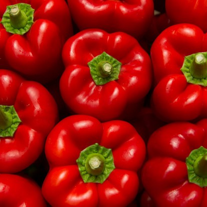 fot. shutterstock.com W Przytyku powstało Zrzeszenie Producentów Papryki RP