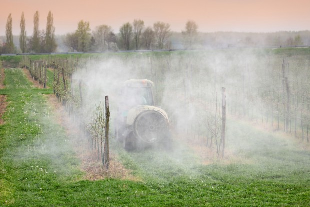 fot. shutterstock.com 2015 rok przyniesie zmiany w Integrowanej Produkcji