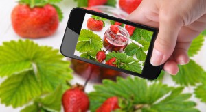 Powstanie aplikacja na smartfony dla plantatorów truskawek