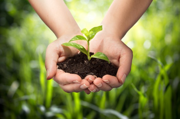 fot. shutterstock.com Integrowana Produkcja i uprawy ekologiczne w PROW 2014-2020