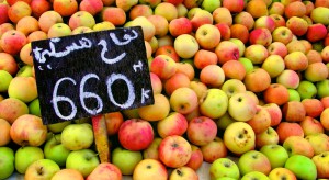 Polskie owoce, warzywa i zagęszczone soki pobiją rynki arabskie?
