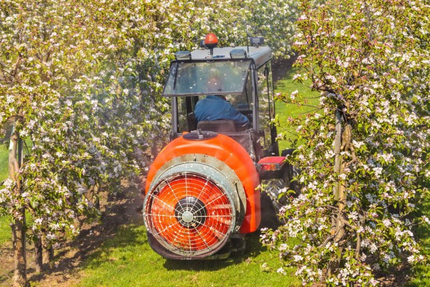 fot. shutterstock.com USA: Mechaniczne zapylanie drzew owocowych zastąpi pszczoły?