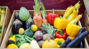 Kraje UE sprzedają więcej owoców i warzyw za niższą cenę