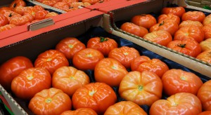 Znaczny spadek cen pomidorów na Ukrainie 