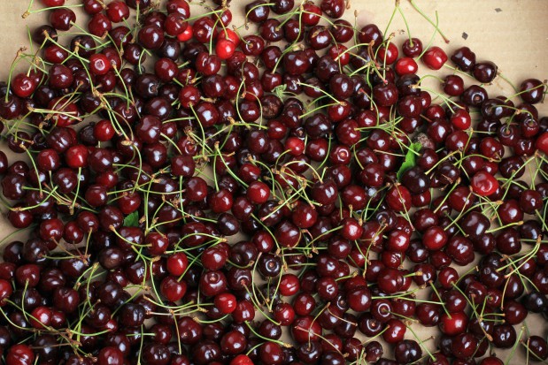 fot. shutterstock Ceny czereśni w hurcie wahają się między 3,5-13 zł/kg