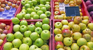 Ceny jabłek w sieciach handlowych wahają się między 1,99-3,80 zł/kg