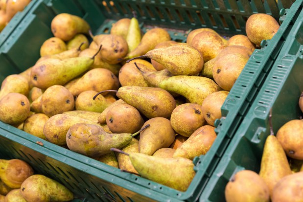 Na Ukrainie wzrosy ceny gruszek/ fot. shutterstock Większe zbiory gruszek na Ukrainie