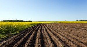 Senat poparł ustawę o kształtowaniu ustroju rolnego wraz z poprawkami