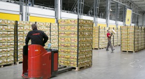 Citronex buduje bananowo-pomidorową potęgę. Inwestuje w nowe dojrzewalnie i szklarnie