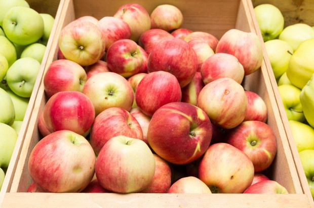 Sadownicy obawiają się huśtawki cenowej na rynku jabłek