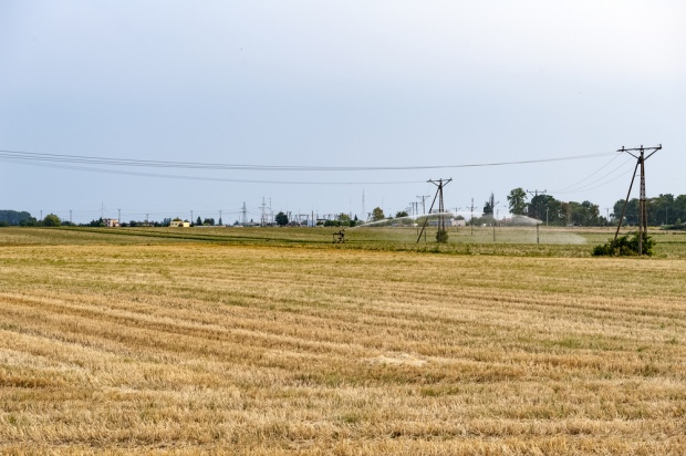 Brak wody doskwiera nam jednak bardziej niż kiedyś, bo wskutek postępu cywilizacyjnego, z wody korzystamy inaczej/ fot. shutterstock Tegoroczna susza nie jest zjawiskiem ekstremalnym
