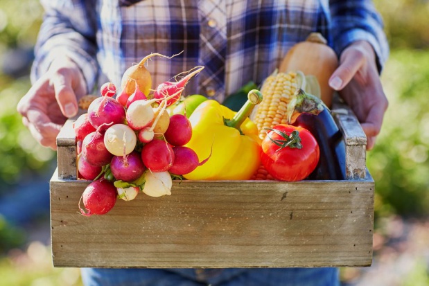 UE wspiera rolników, którzy podejmą się ekologicznej produkcji żywności; fot. shutterstock.com Ekologiczna produkcja owoców – wsparcie z PROW 2014-2020