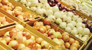 Ukraina: Ceny cebuli spadają z powodu niskiej jakości warzyw