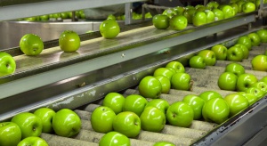 Jak efektywnie przedłużyć trwałość owoców i warzyw na odległe rynki?
