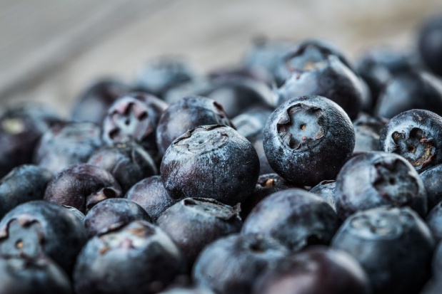 Owoce borówki można przechowywać przez okres 6o dni/ fot. shutterstock.com Jak przechowywać owoce borówki, aby wydłużyć okres ich podaży na rynku?