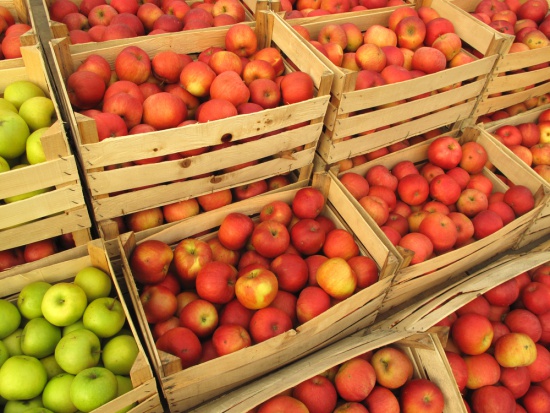 Tegoroczna sytuacja producentów owoców i warzyw pozostawia wiele do życzenia/ fot. shutterstock MRiRW: Otwarcie nowych rynków jest czasochłonne, a na efekty trzeba czekać latami