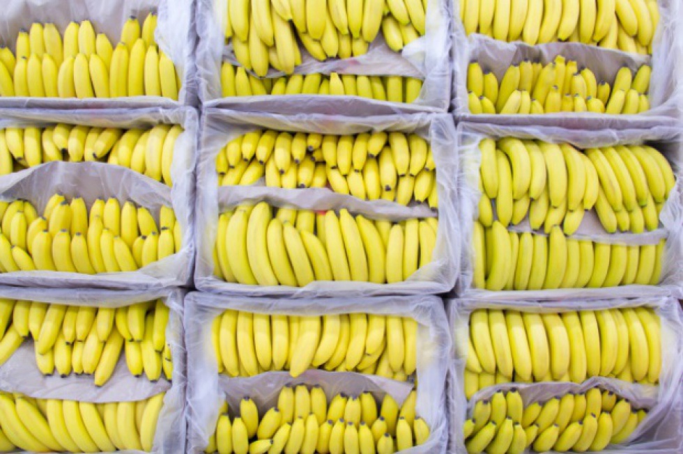 Banany są najpopularniejszym owocem w Argentynie