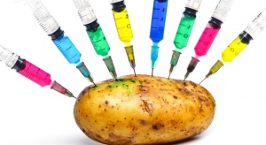 Wyhodowano ziemniaki odporne na zarazę, ale genetycznie modyfikowane 