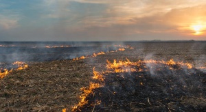 Strażacy apelują o niewypalanie traw. Rolnicy mogą stracić dopłaty unijne