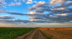 Sejmowa komisja rolnictwa za projektem ustawy o finansowaniu WPR