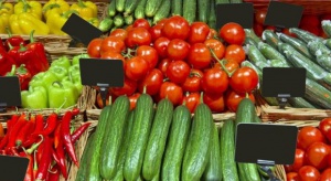  Bułgaria: Ogórki i pomidory szklarniowe znacznie tańsze niż w 2015 roku