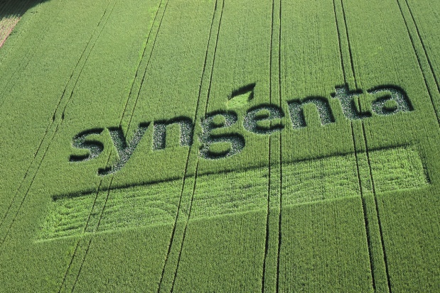 Chińczycy chcą kupić 70 proc. akcji szwajcarskiej spółki. / fot. syngenta.com Syngenta: Coraz więcej znaków zapytania dot. przejęcia przez Chińczyków