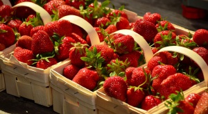 Opolanie płacą najwięcej za truskawki - 6,50 zł/kg 