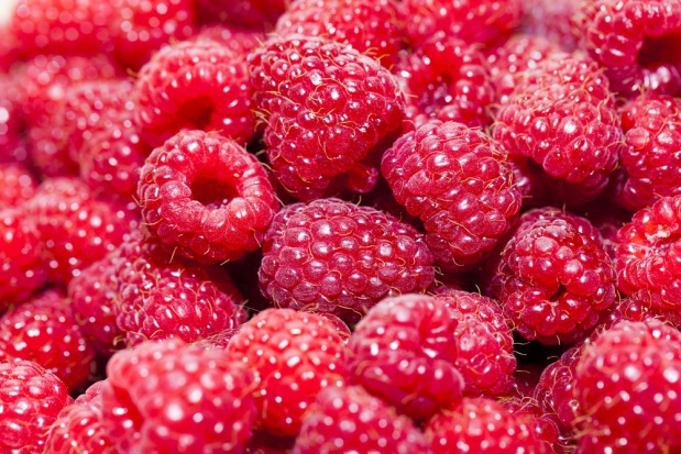 Z danych IRO (International Raspberry Organization) wynika, że tegoroczna produkcja malin w Serbii wyniosła 85 tys. t i była o 15 proc. niższa niż w roku poprzednim / fot. shutterstock Mniejsza produkcja malin w Serbii w 2016 r.