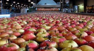 Pierwszy fungicyd do pozbiorczej ochrony jabłek i gruszek