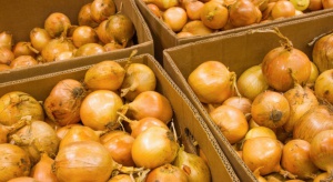 Indie wyeksportowały 870 tys. ton cebuli