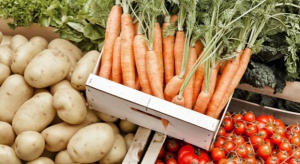 Ceny warzyw w listopadzie - analiza IERiGŻ