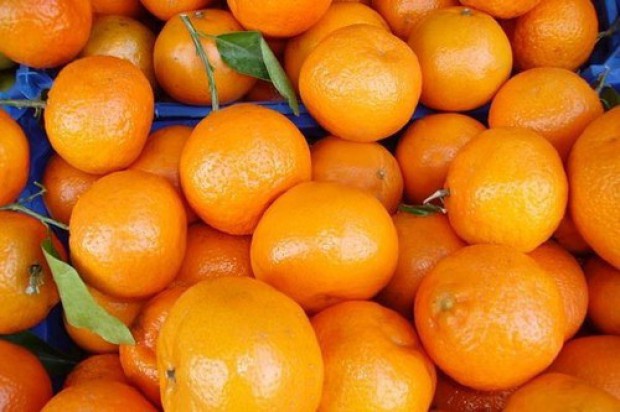 W tym sezonie zwiększy się import cytrusów, mniejszy zaś będzie m.in. kiwi i brzoskwiń / fot. shutterstock IERiGŻ: W tym sezonie zwiększy się import cytrusów