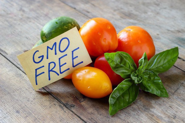 fot. shutterstock.com Ministerstwo Środowiska przygotowuje ustawę dot. GMO