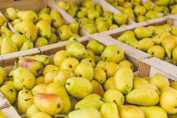 fot. shutterstock Większa produkcja gruszek na świecie