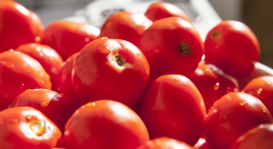 Polskie Przetwory mają kłopoty przez obniżenie ceny koncentratu pomidorowego