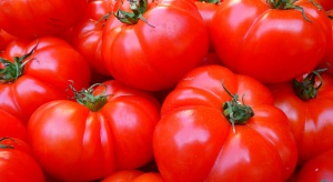 Warzywa z Maroka i Egiptu dominują na rynku UE