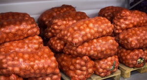 Rossielchoznadzor bierze pod lupę eksport białoruskiej cebuli 