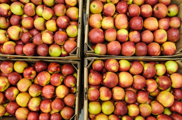 fot. sadyogrody.pl Ceny jabłek deserowych wahają się między 0,80 a 1,4 zł/kg
