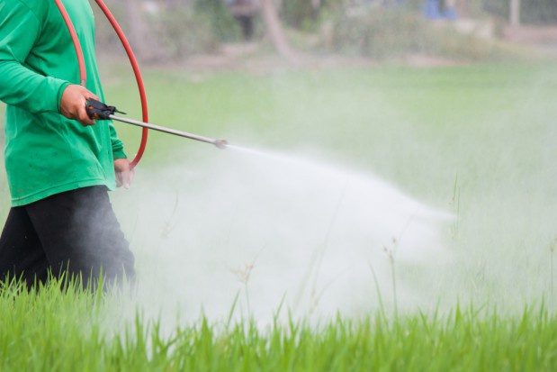 Europarlament chce zwiększyć dostęp do pestycydów pochodzenia biologicznego