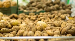 GUS: W styczniu najbardziej podrożały ziemniaki