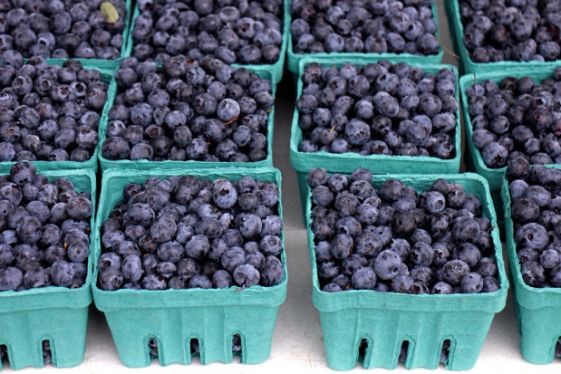 fot. shutterstock Polish Berry Cooperative promuje nowy, wyższy standard zbioru borówki (video)