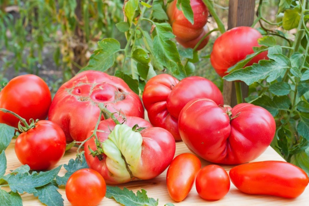 fot. shutterstock Tesco: Nieperfekcyjne warzywa i owoce zyskały popularność