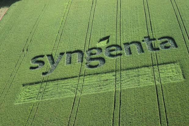 fot. syngenta.com ChemChina zapłaci za Syngentę 43 mld dolarów. Chińska firma przejmie 80 proc. udziałów