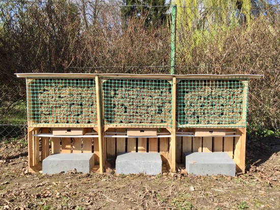 Centrum Murarkowe w Mokoszynie/ fot. za Sumi Agro Poland 60 000 kokonów murarki ogrodowej od Sumi Agro Poland w 2017 roku