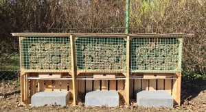 60 000 kokonów murarki ogrodowej od Sumi Agro Poland w 2017 roku