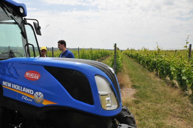 fot. materiały prasowe New Holland Sadownicze ciągniki New Holland w polskiej winnicy (foto)