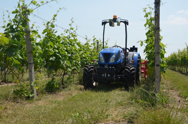 fot. materiały prasowe New Holland Sadownicze ciągniki New Holland w polskiej winnicy (foto)