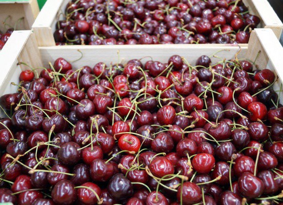 fot. shutterstock Czereśni jest mało, a ceny wysokie. W hurcie kosztują 10-17 zł/kg
