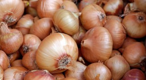 Ceny cebuli w Polsce 30 proc. niższe niż na Ukrainie
