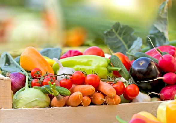 fot. shutterstock Niemcy: Rośnie liczba gospodarstw ekologicznych